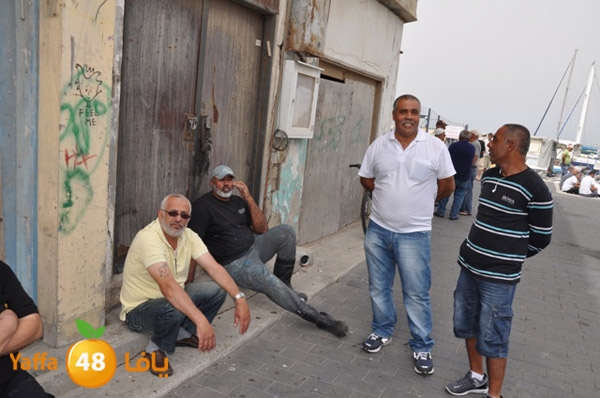 mina2yaffan51i (23).JPG